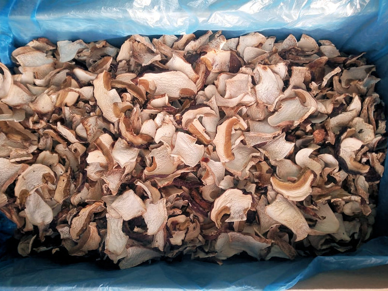 Грибы белые